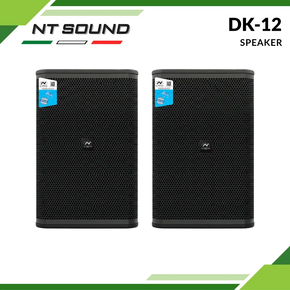 Loa Full NT SOUND DK-12 – Đỉnh Cao Âm Thanh Karaoke Và Sân Khấu Chuyên Nghiệp